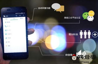 株洲網站托管公司如何助力生活美容服務行業數字化轉型